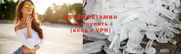 сатива Снежногорск
