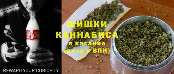 сатива Снежногорск